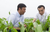 一號文件解讀：中國要強 農(nóng)業(yè)必須強